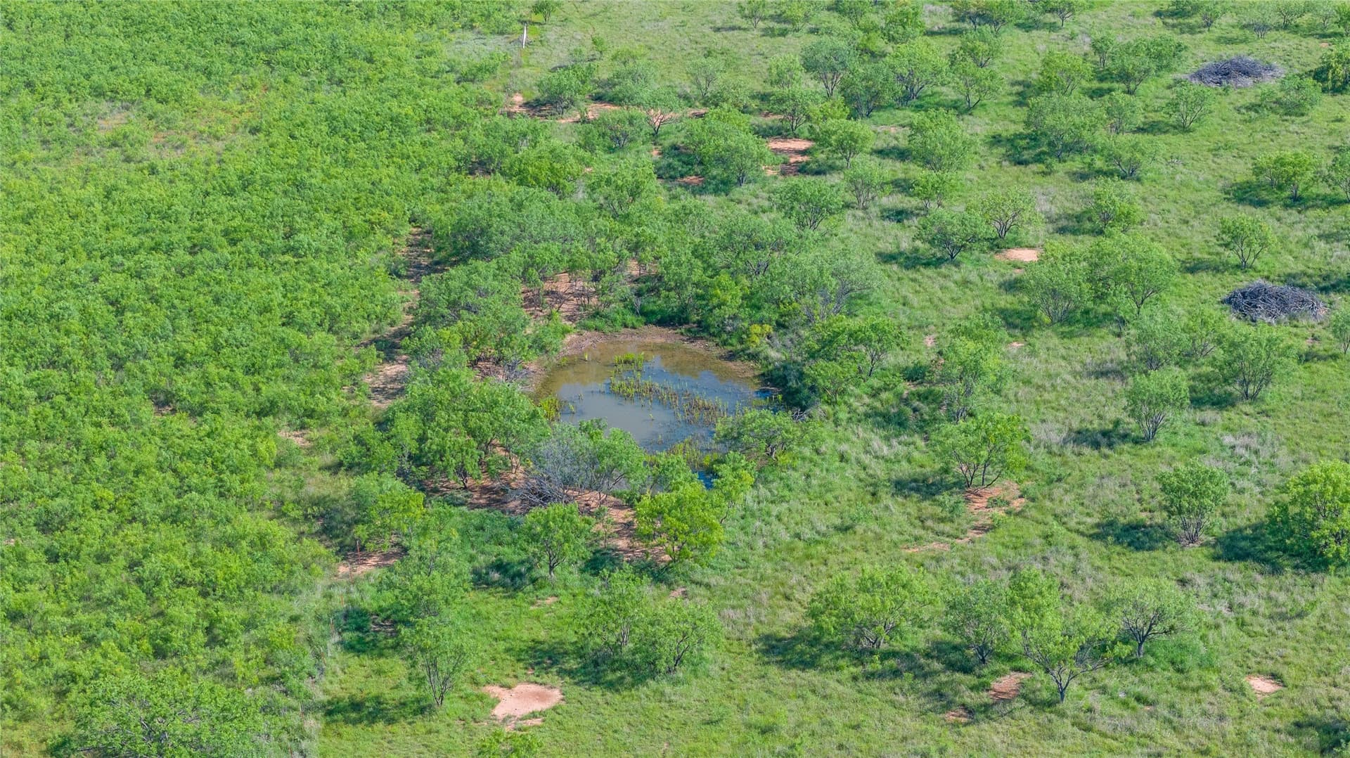 33 acres in Callahan County - photo 9