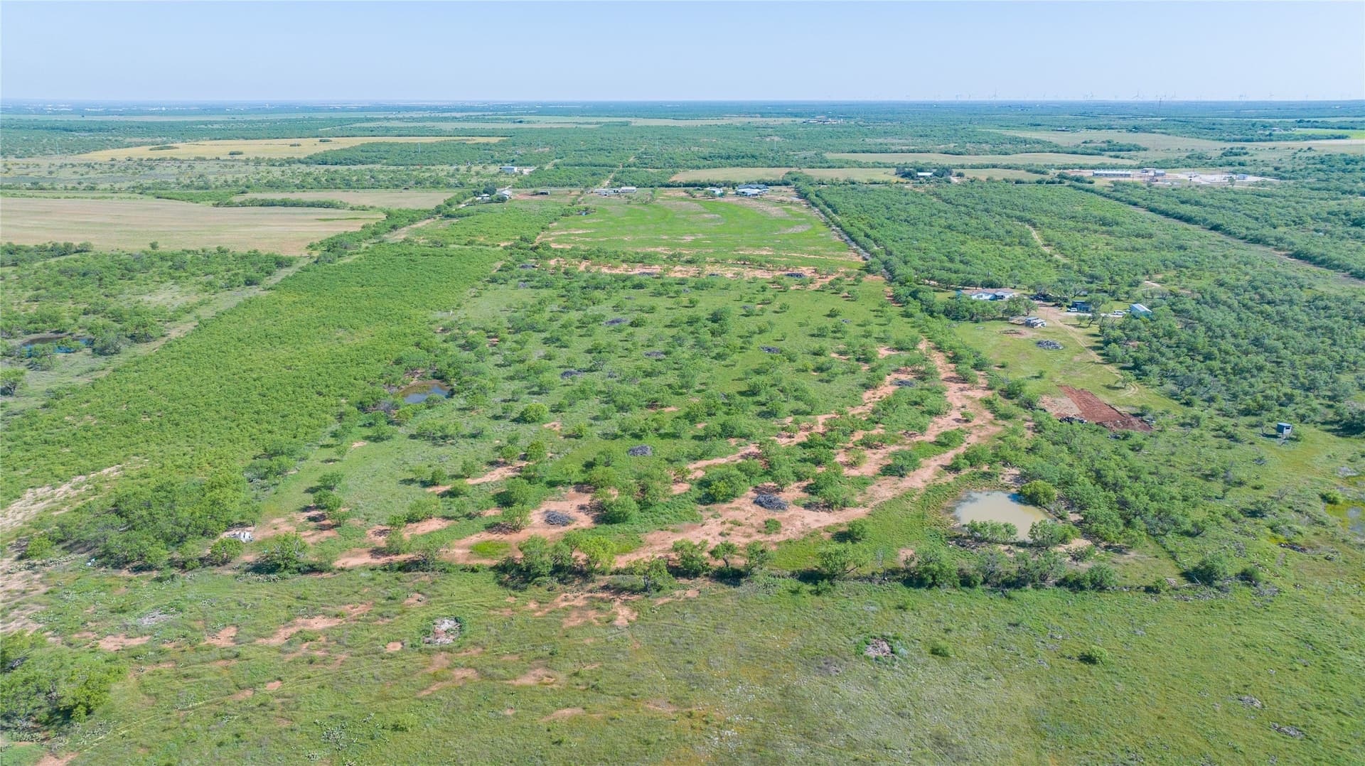 33 acres in Callahan County gallery image 4