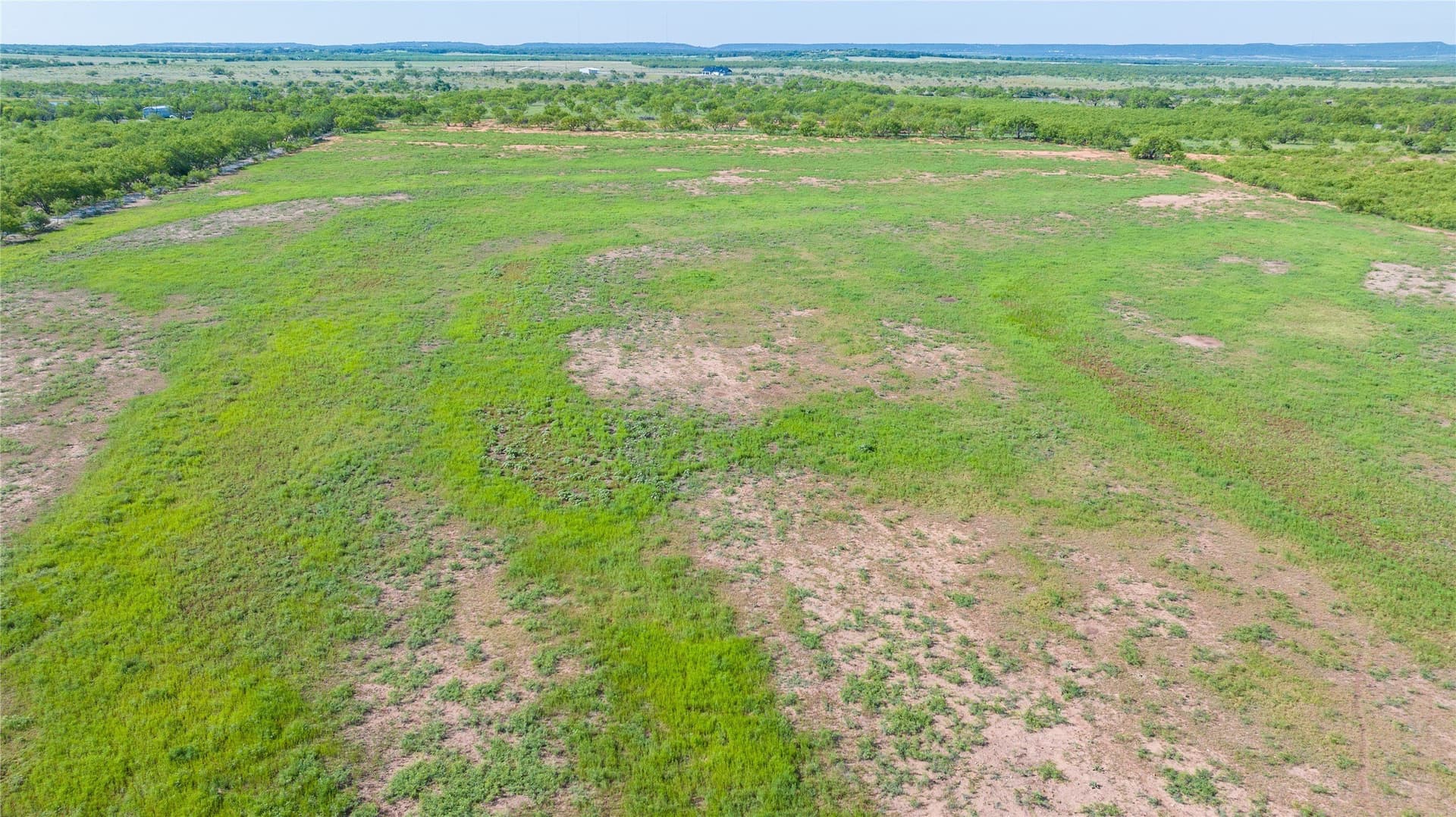 33 acres in Callahan County - photo 6