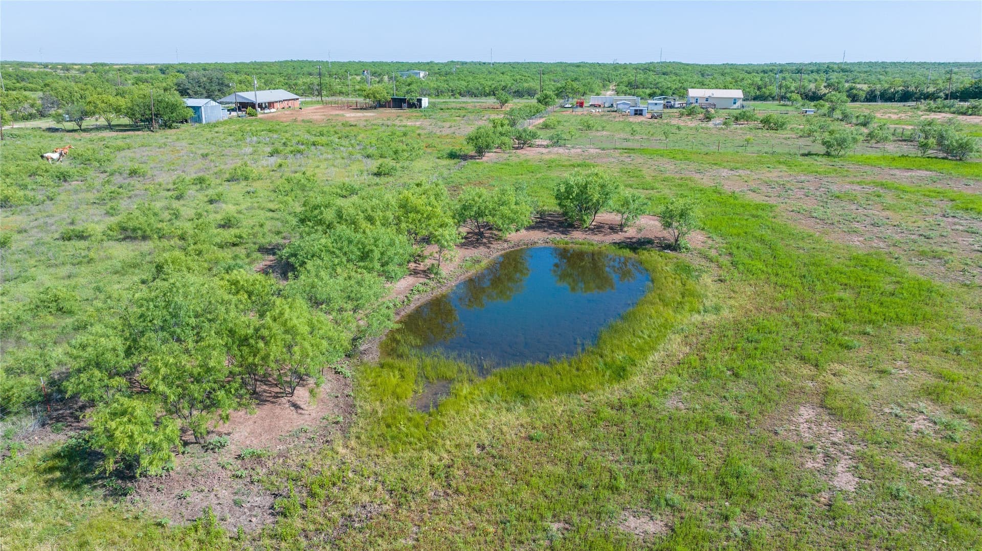 33 acres in Callahan County gallery image 2