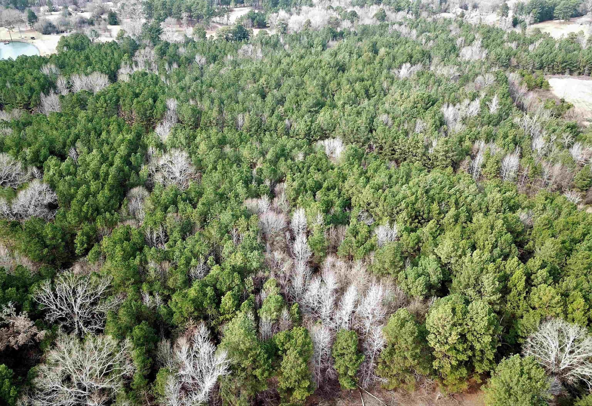 109 acres in Gregg County featured view