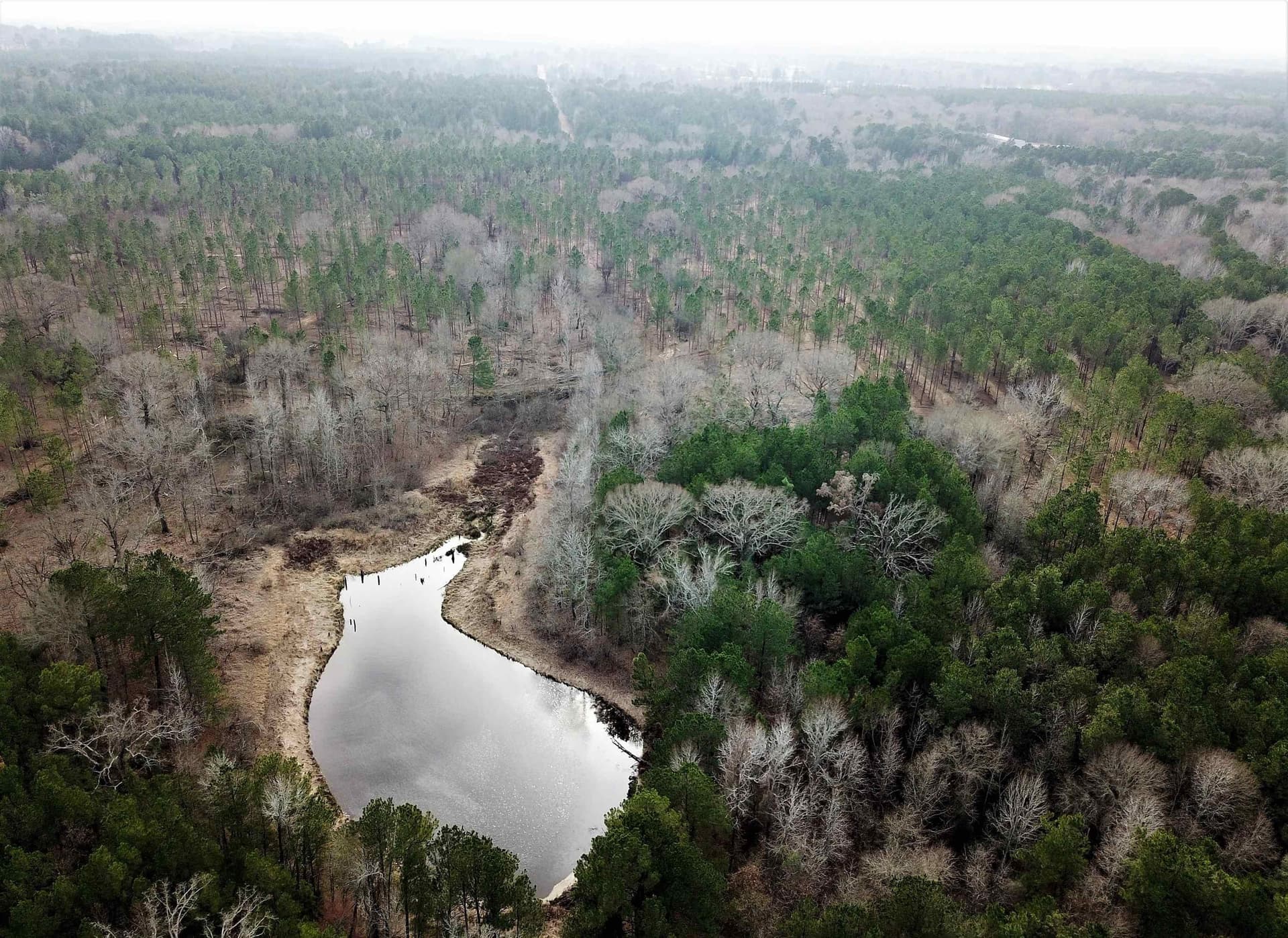 109 acres in Gregg County gallery image 2