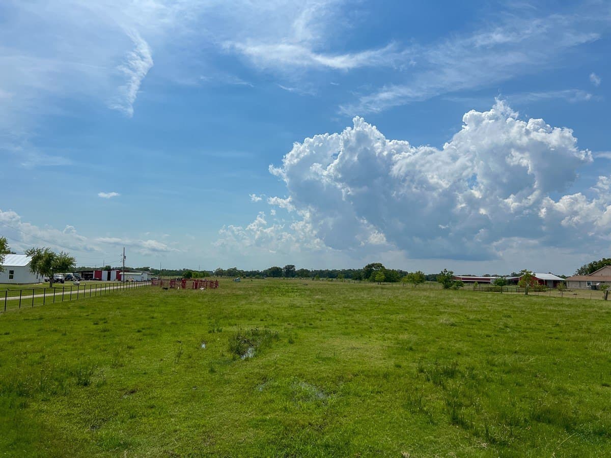 27 acres in Liberty County - photo 2