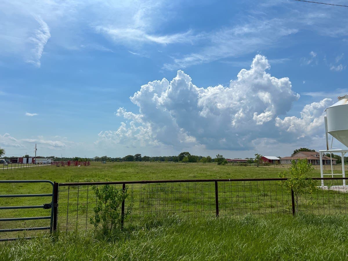 27 acres in Liberty County - photo 5