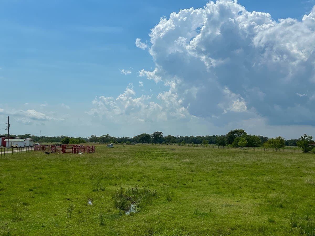 27 acres in Liberty County - photo 4