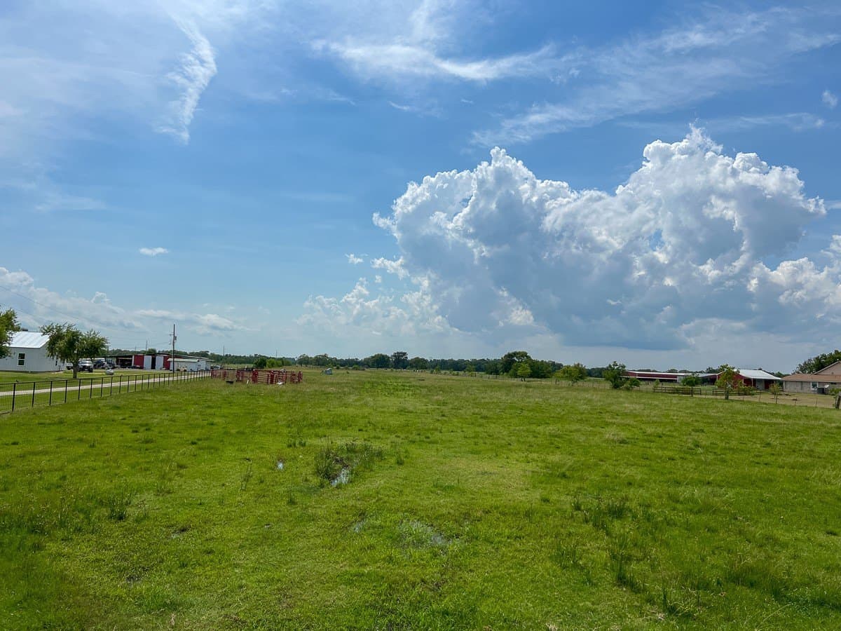 27 acres in Liberty County - photo 3