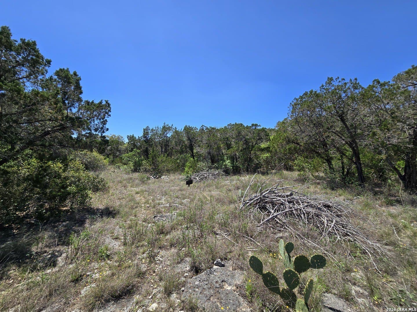 11.49 acres in Medina County gallery image 3