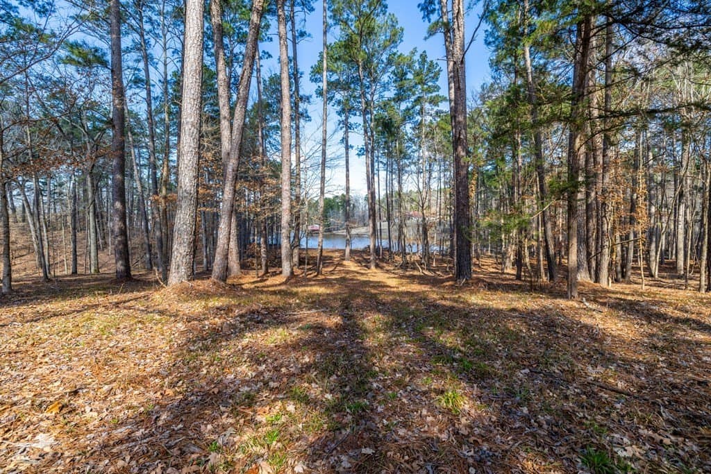 2.16 acres in Texas County gallery image 3