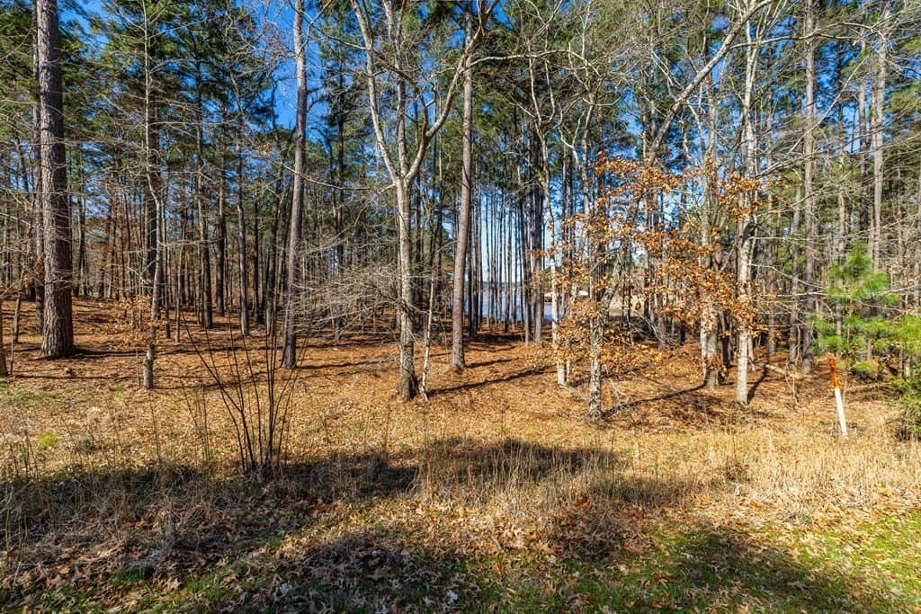 2.16 acres in Texas County featured view