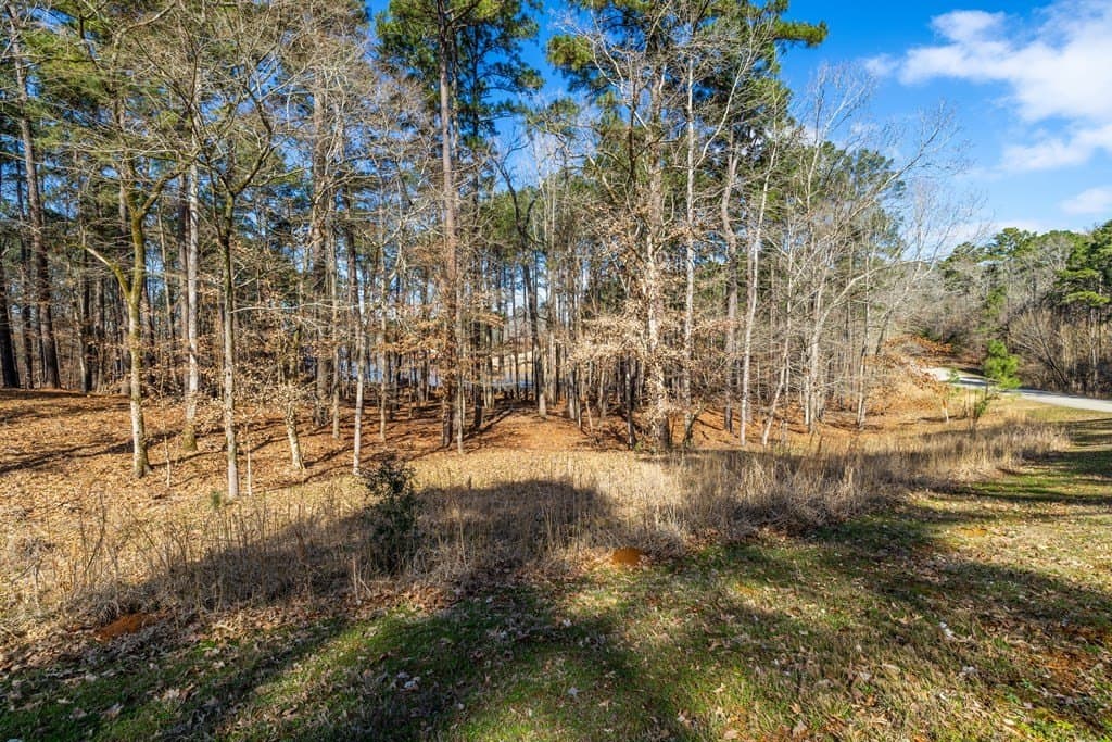 2.16 acres in Texas County gallery image 4