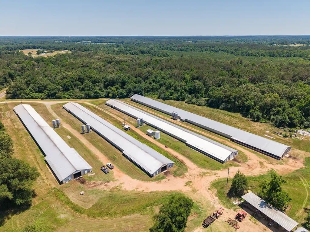 35 acres in Texas County - photo 18
