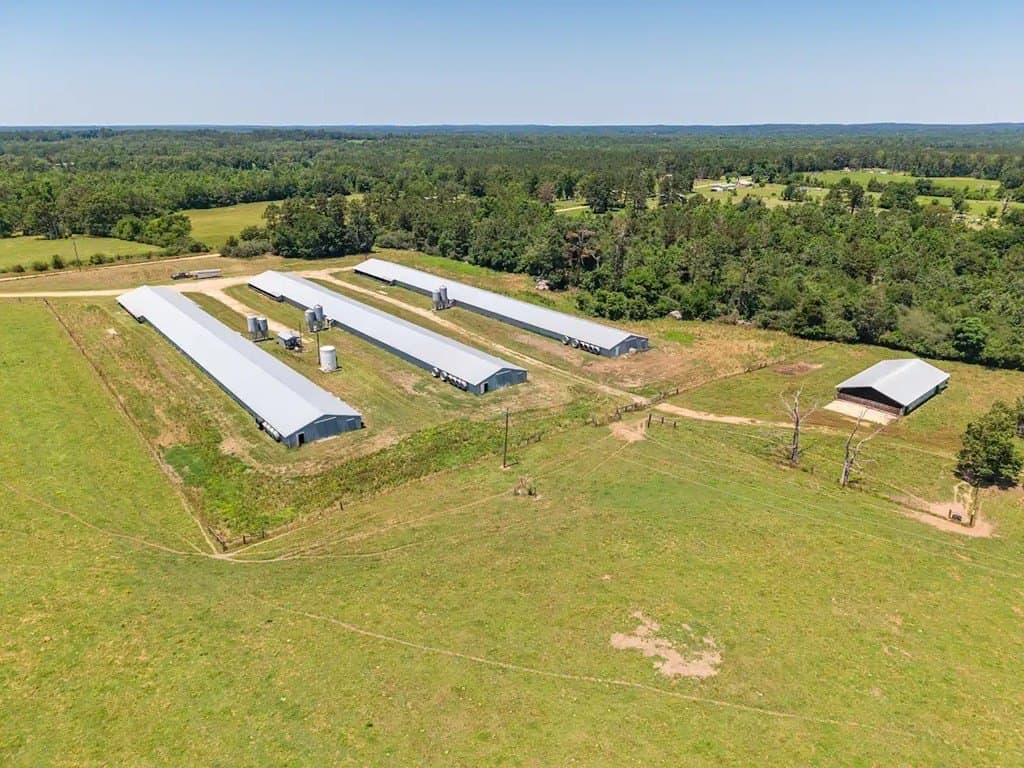 35 acres in Texas County - photo 7