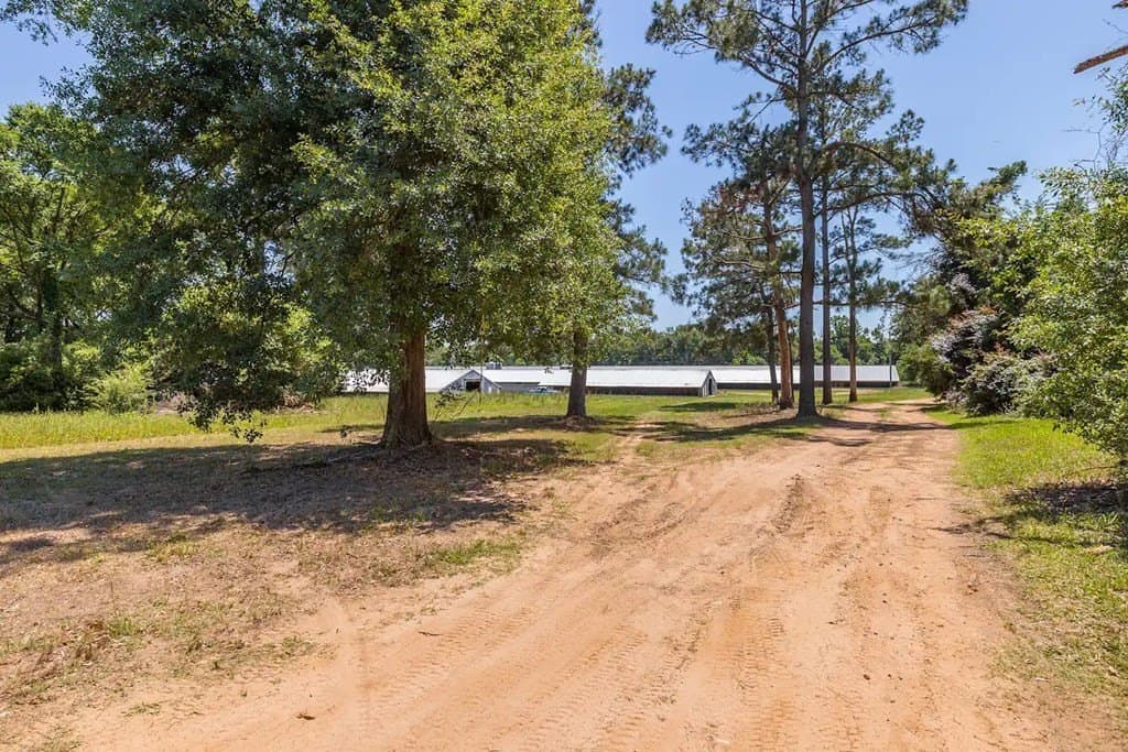 35 acres in Texas County - photo 26