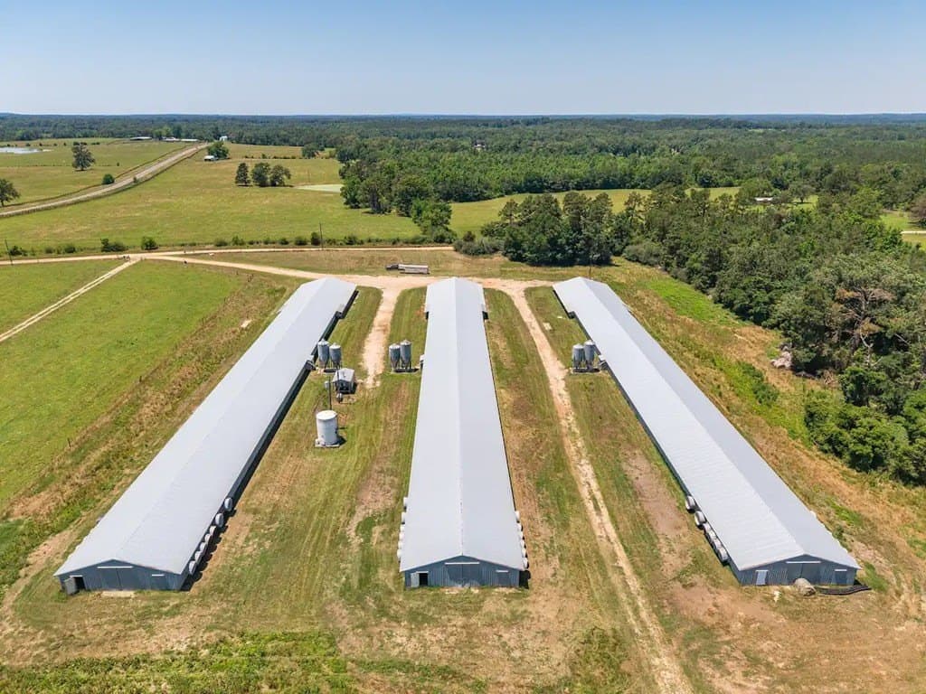 35 acres in Texas County - photo 8