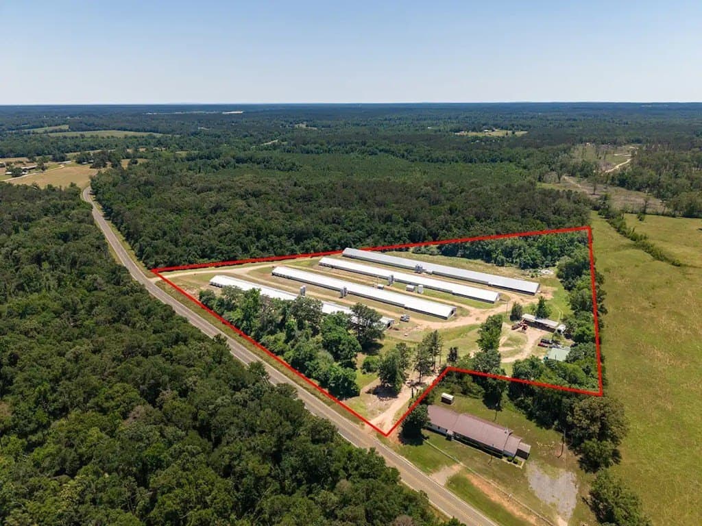 35 acres in Texas County - photo 11