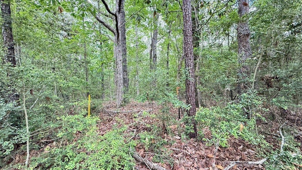 0.84 acres in Texas County - photo 8
