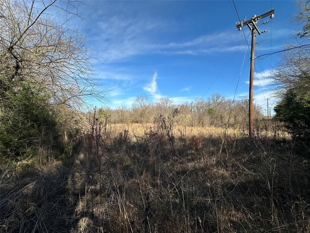 20 acres in Hopkins County gallery image 4