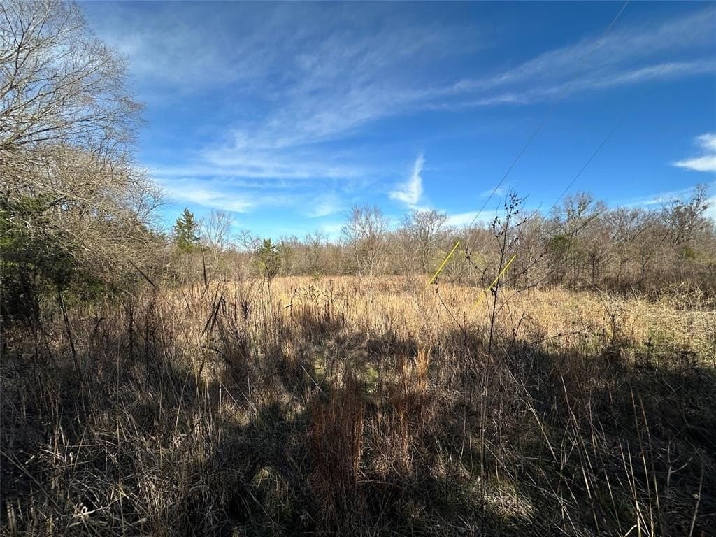 20 acres in Hopkins County gallery image 3