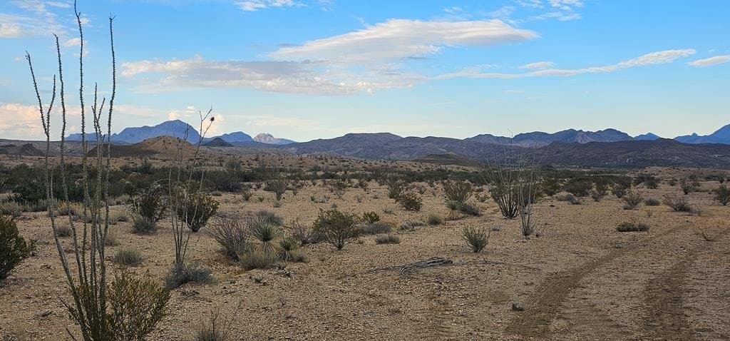 5 acres in Brewster County featured view