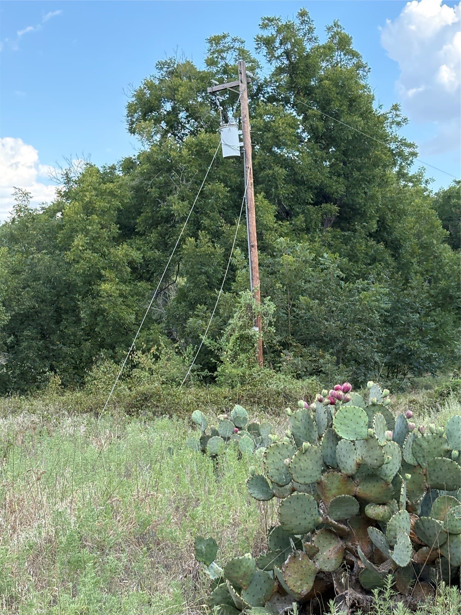 50 acres in Jack County - photo 39