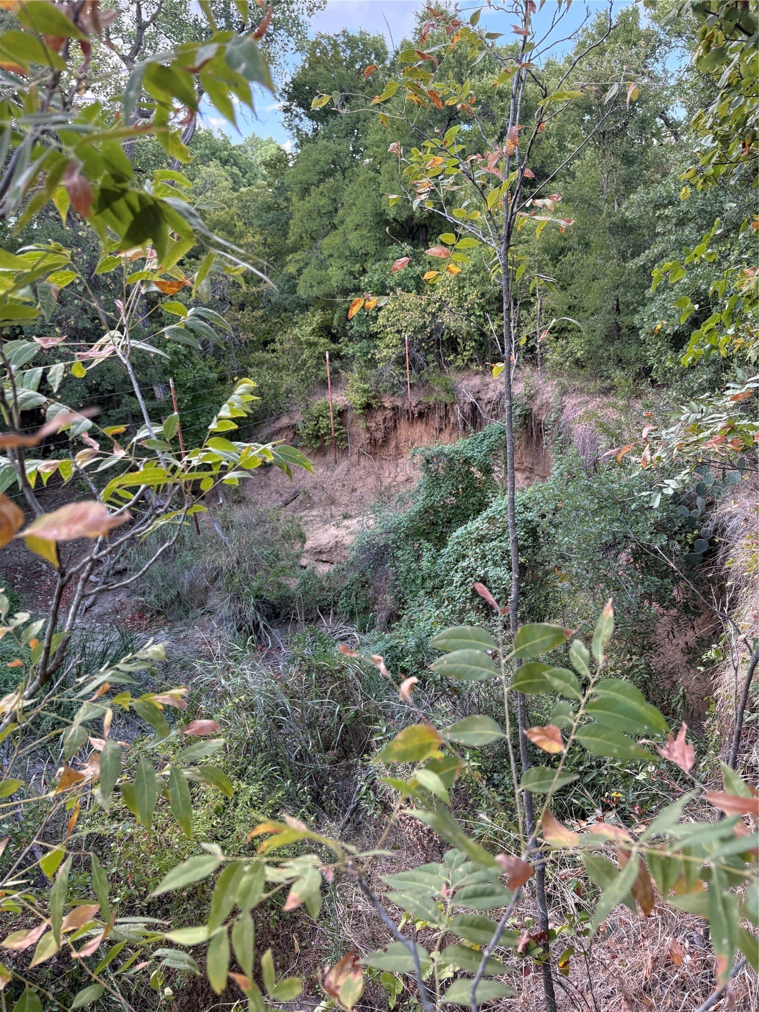 50 acres in Jack County - photo 35