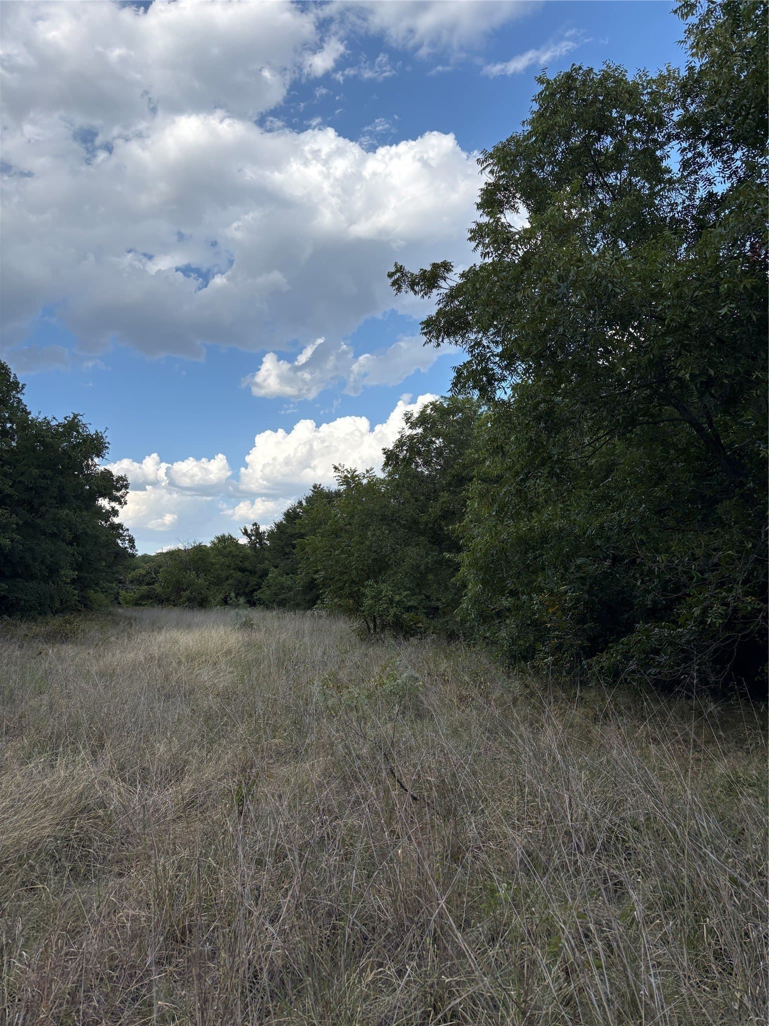 50 acres in Jack County - photo 40