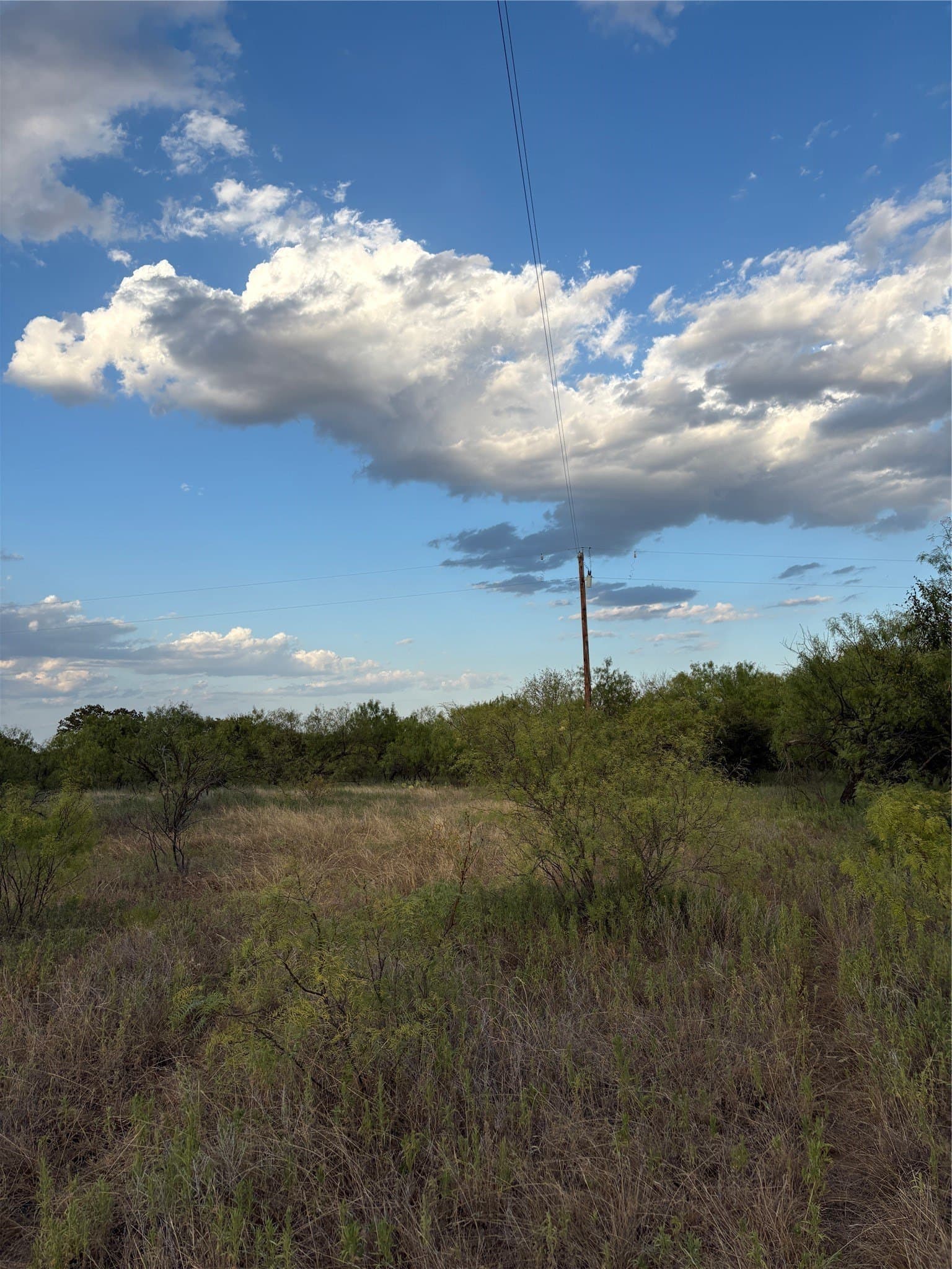 50 acres in Jack County - photo 10