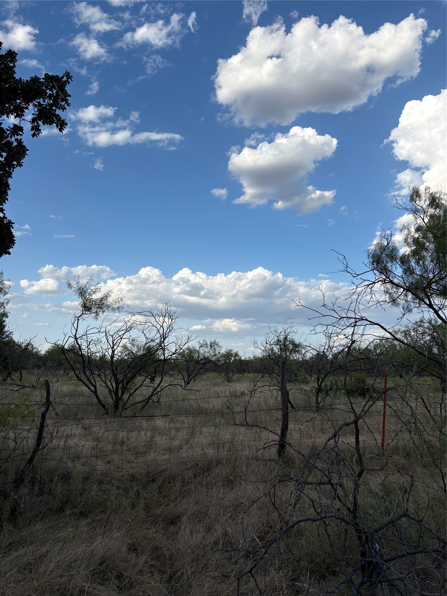50 acres in Jack County - photo 18