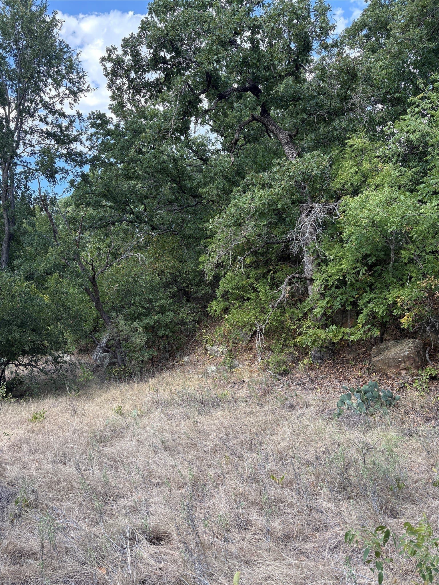 50 acres in Jack County - photo 28