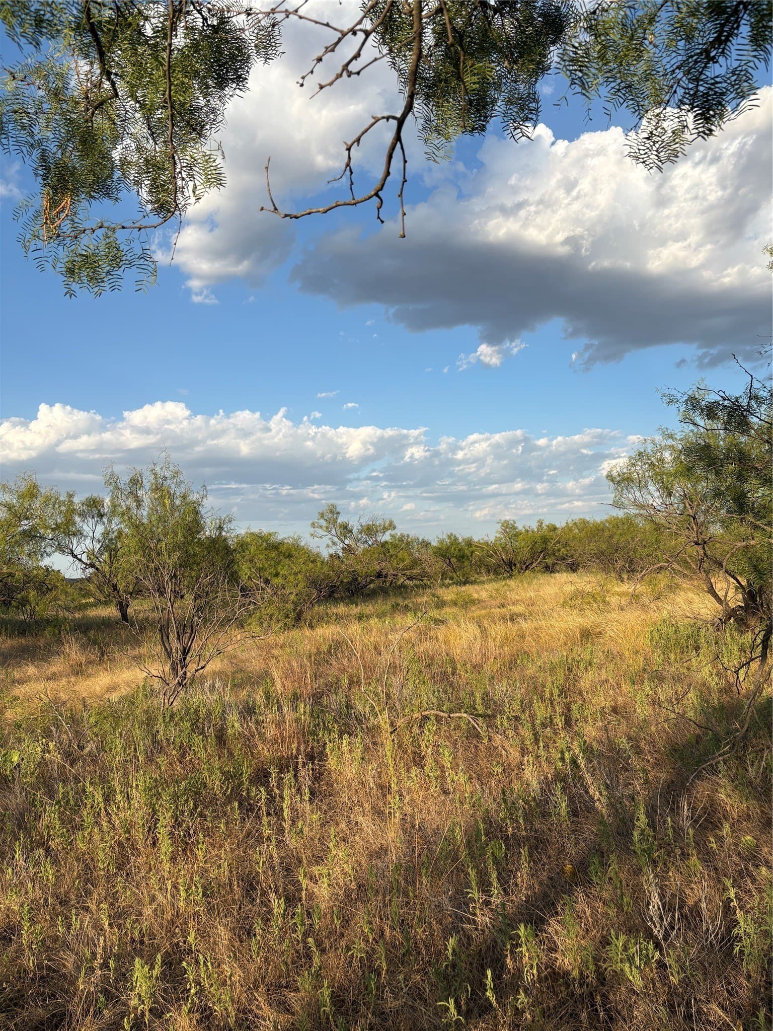 50 acres in Jack County - photo 11