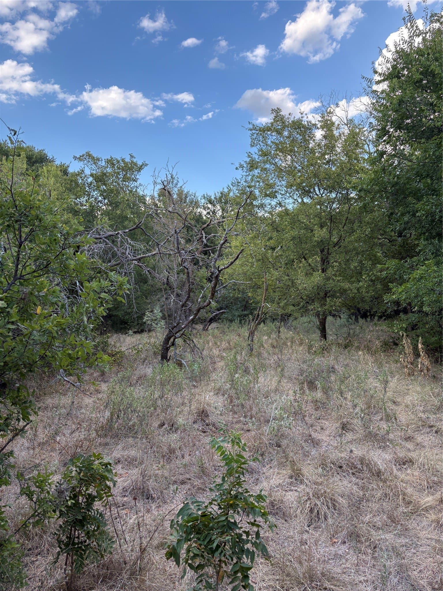 50 acres in Jack County - photo 24