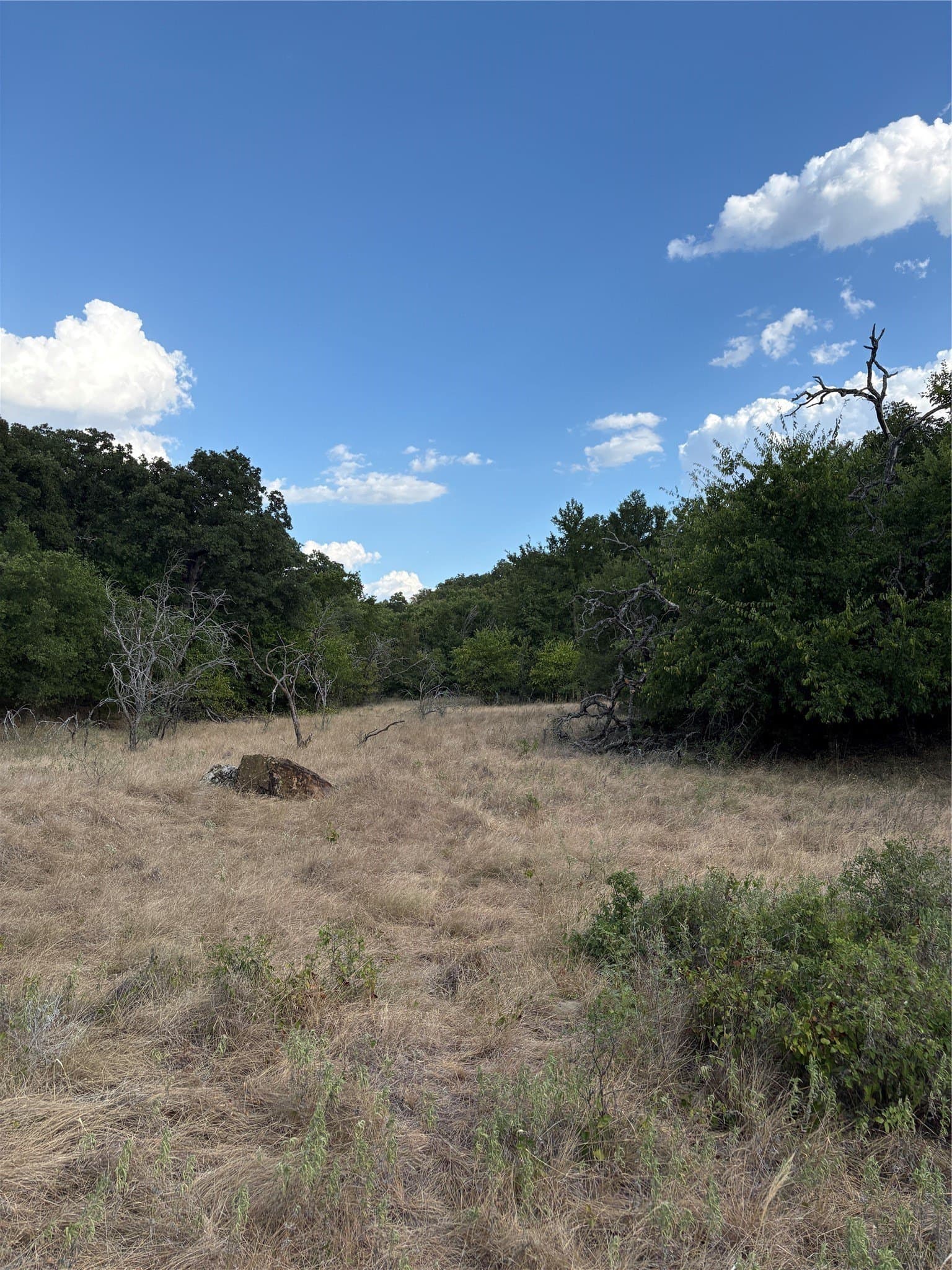 50 acres in Jack County - photo 20