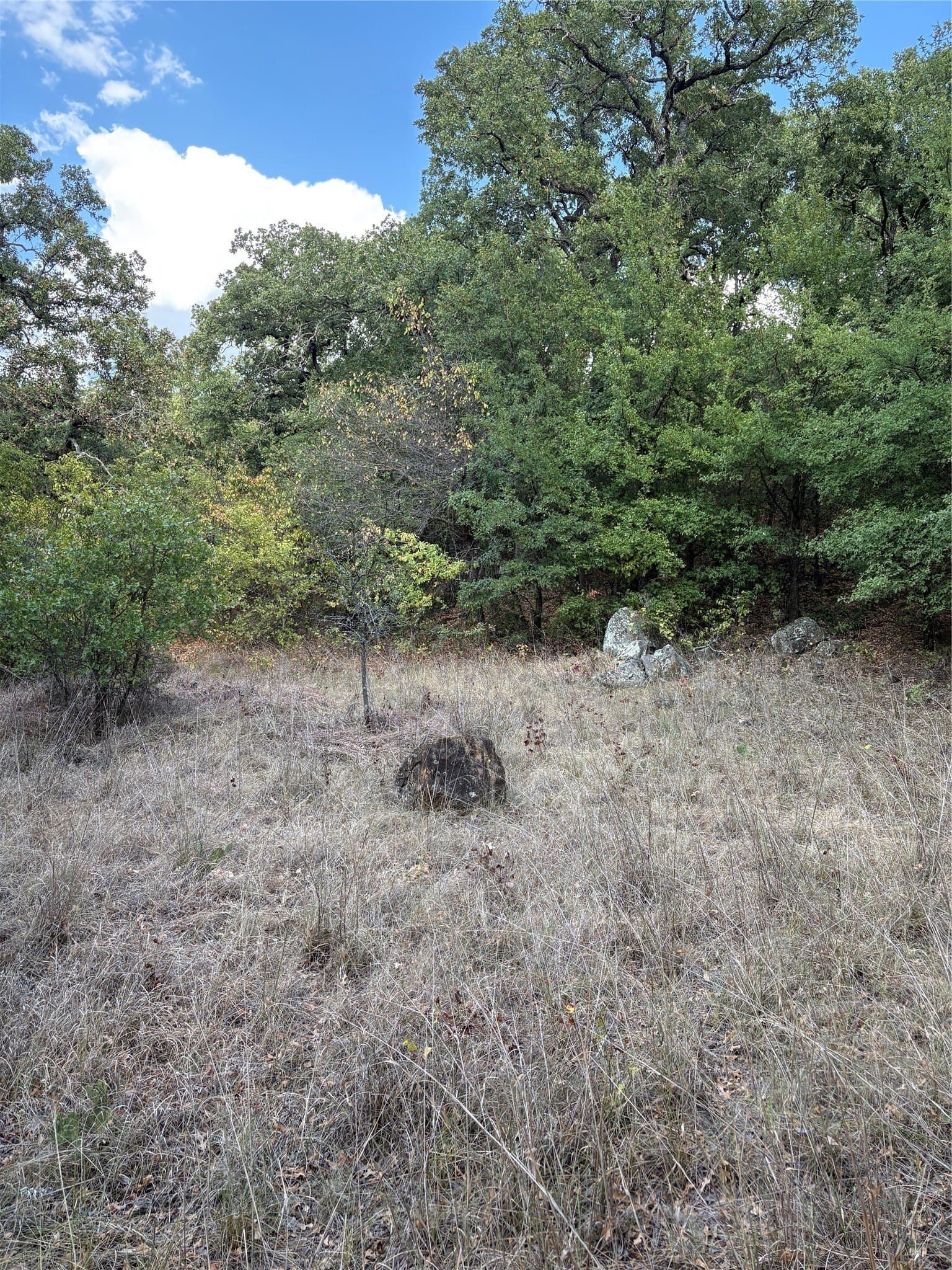 50 acres in Jack County - photo 30