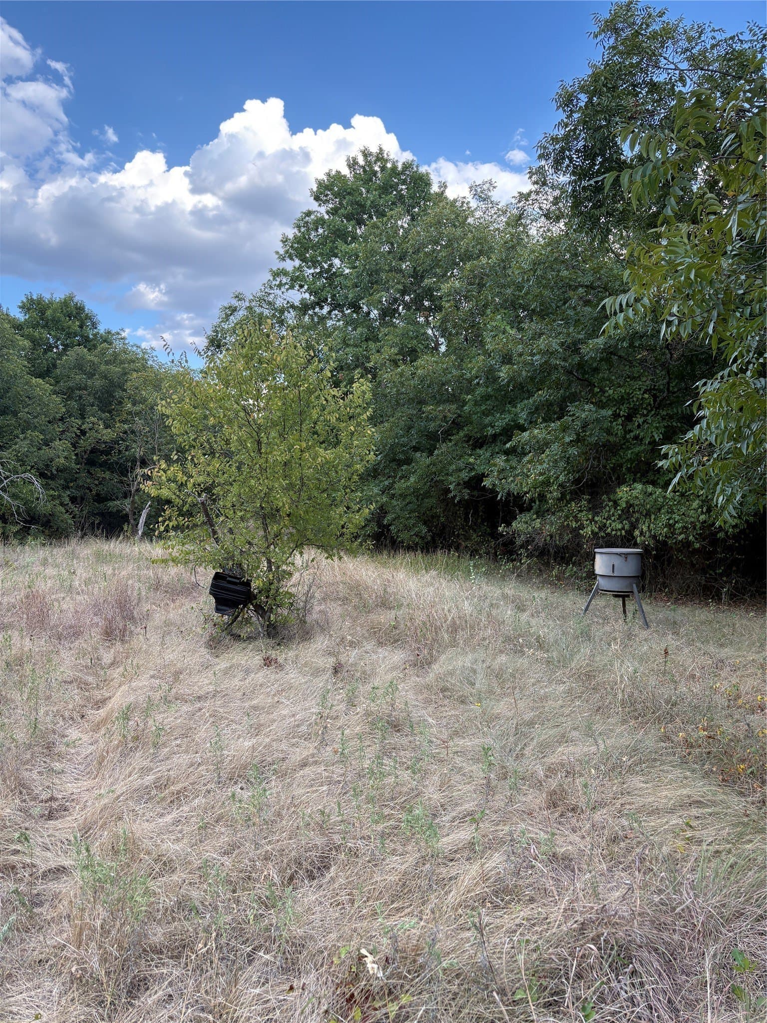 50 acres in Jack County - photo 23