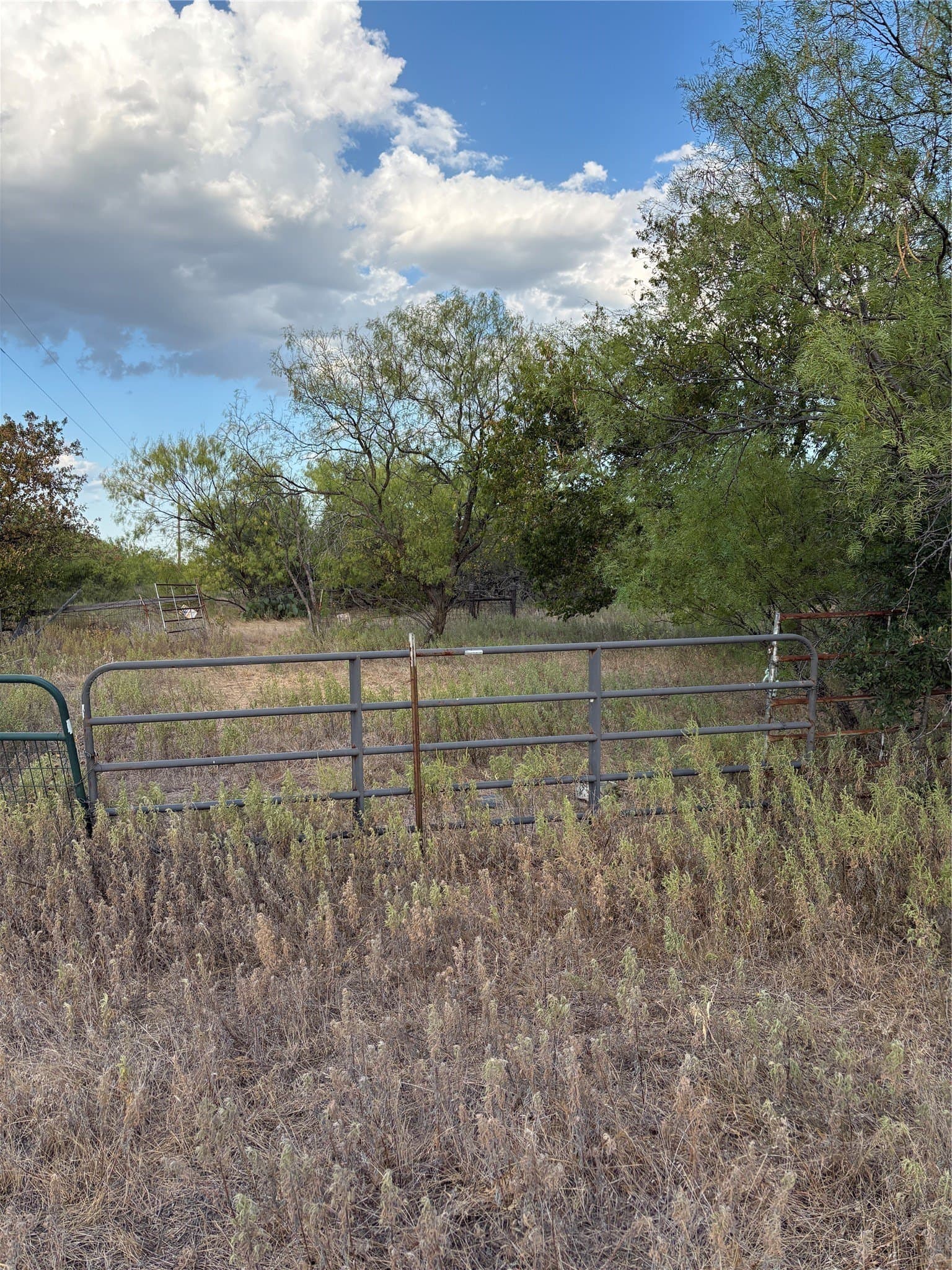 50 acres in Jack County - photo 14