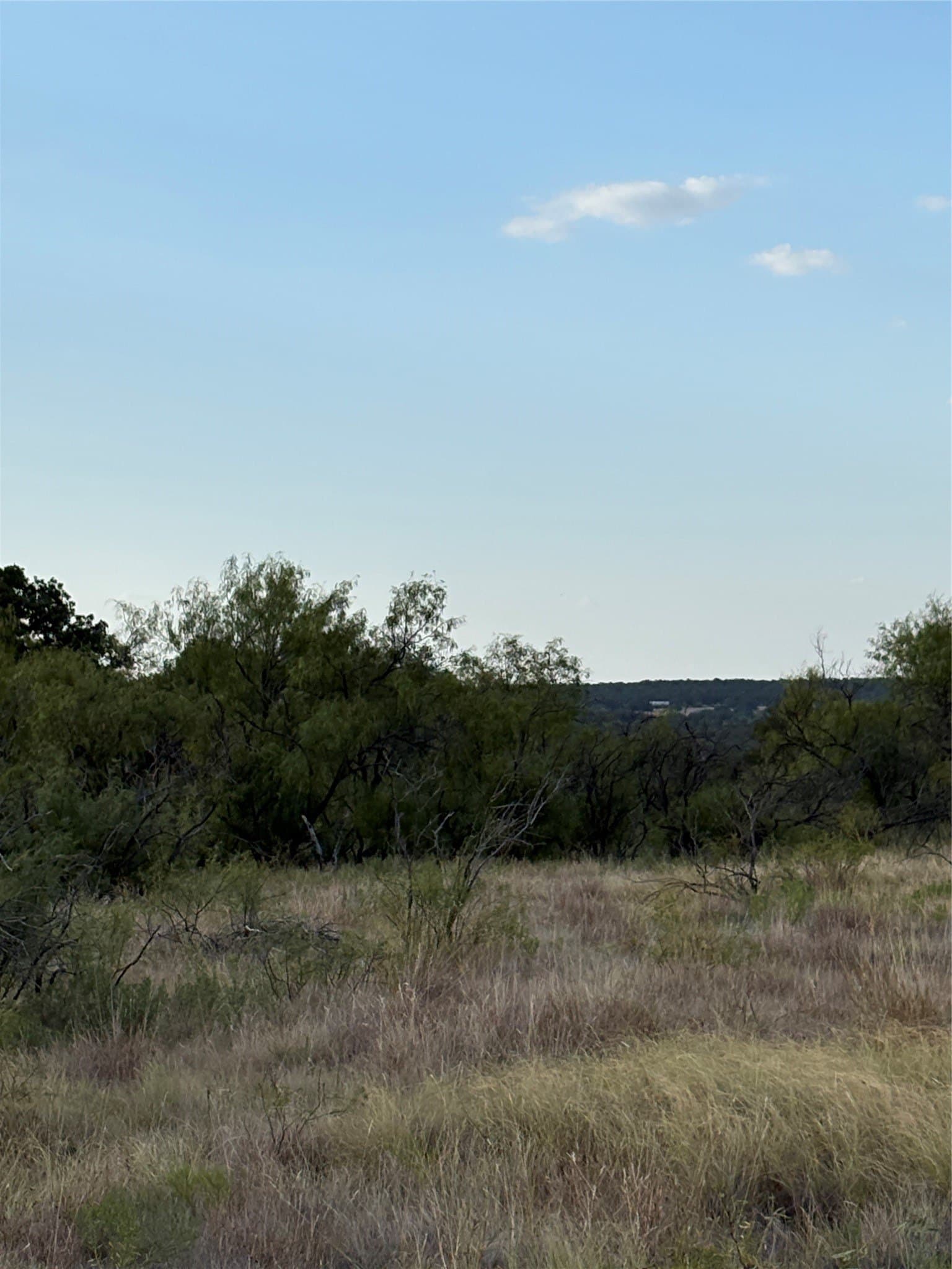 50 acres in Jack County - photo 8