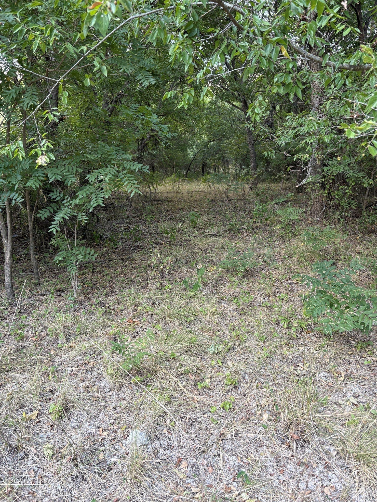 50 acres in Jack County - photo 32