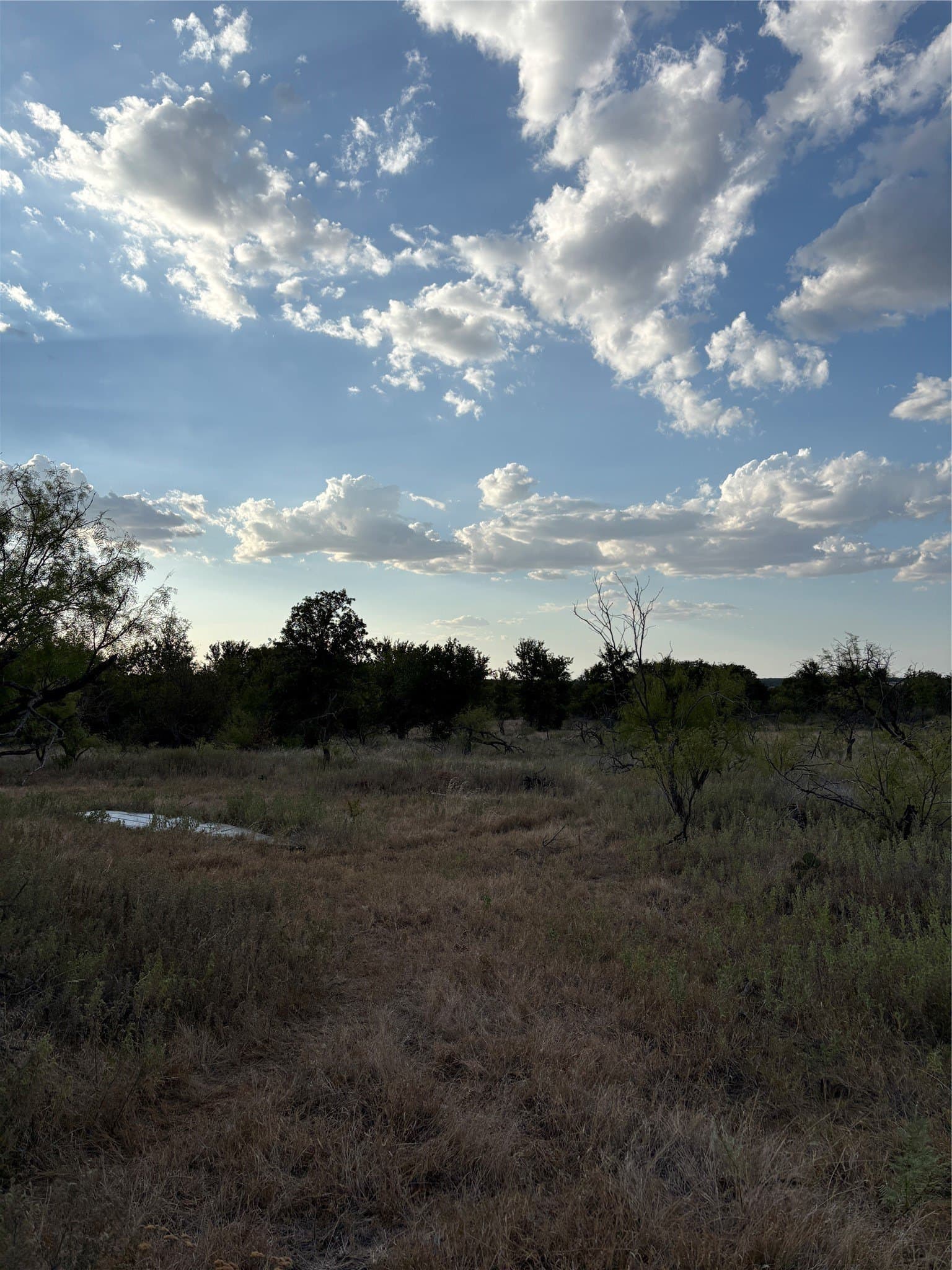50 acres in Jack County - photo 13