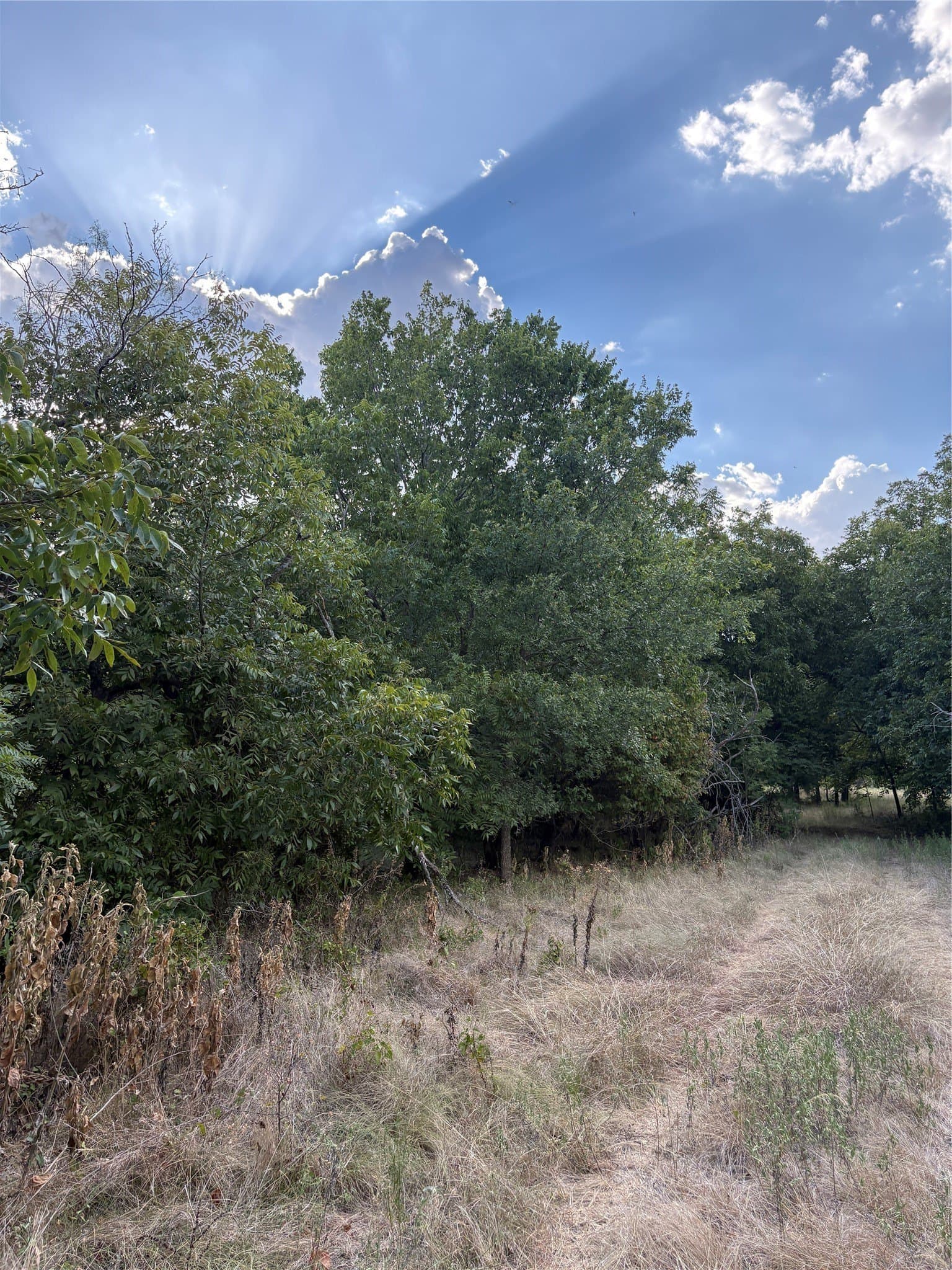 50 acres in Jack County
