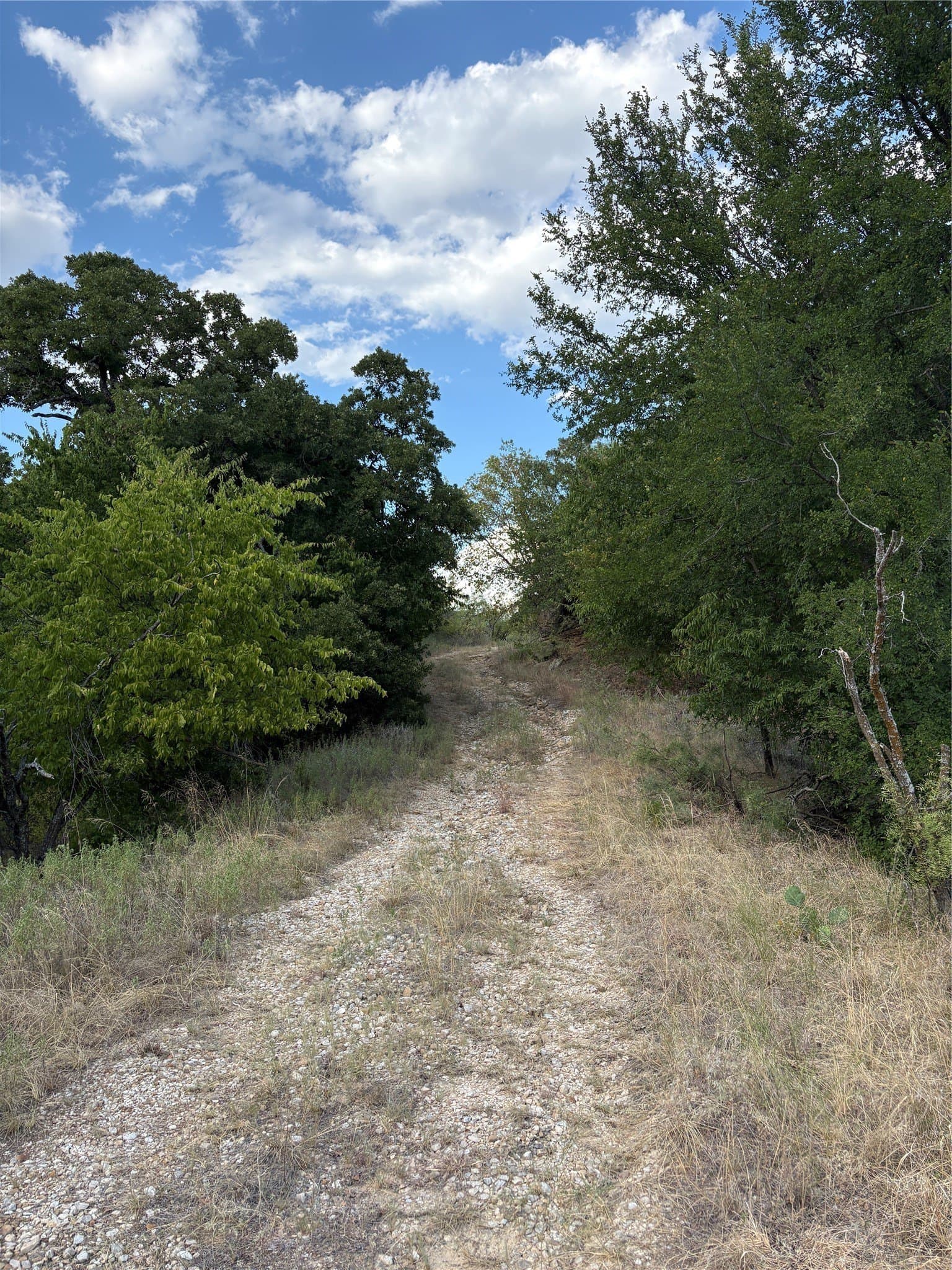 50 acres in Jack County - photo 21