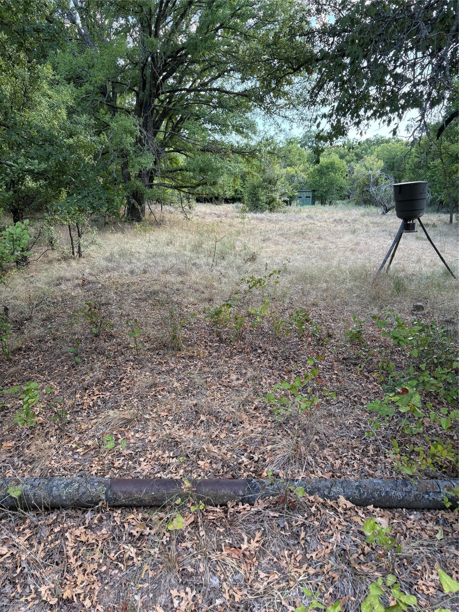 50 acres in Jack County - photo 33
