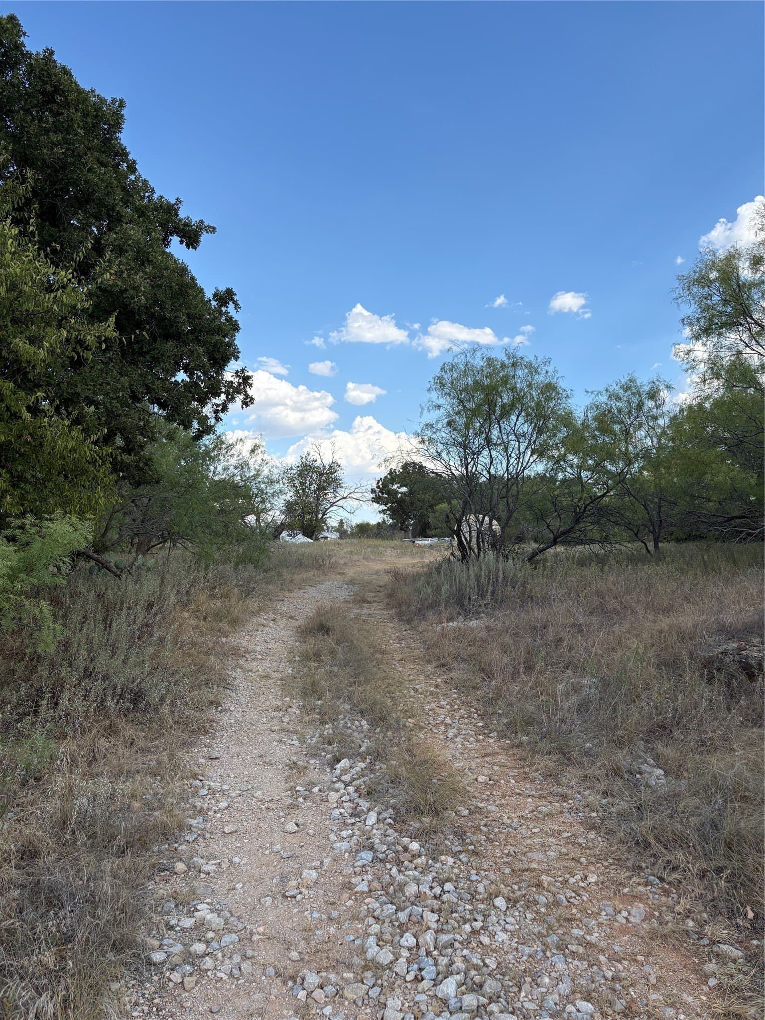 50 acres in Jack County - photo 3