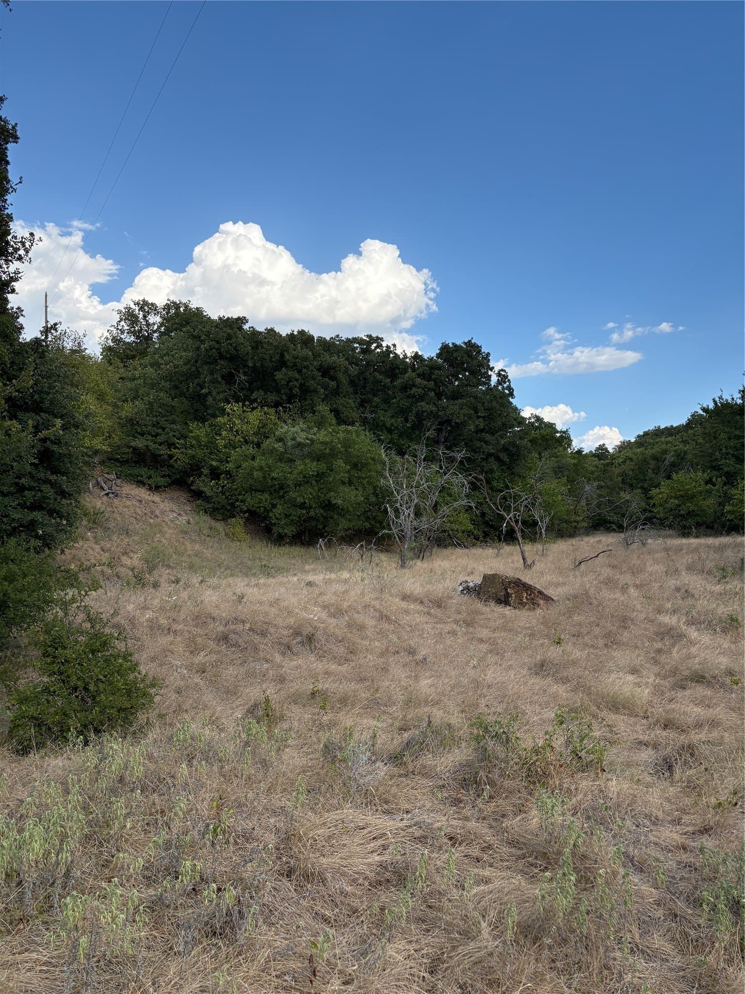 50 acres in Jack County - photo 31