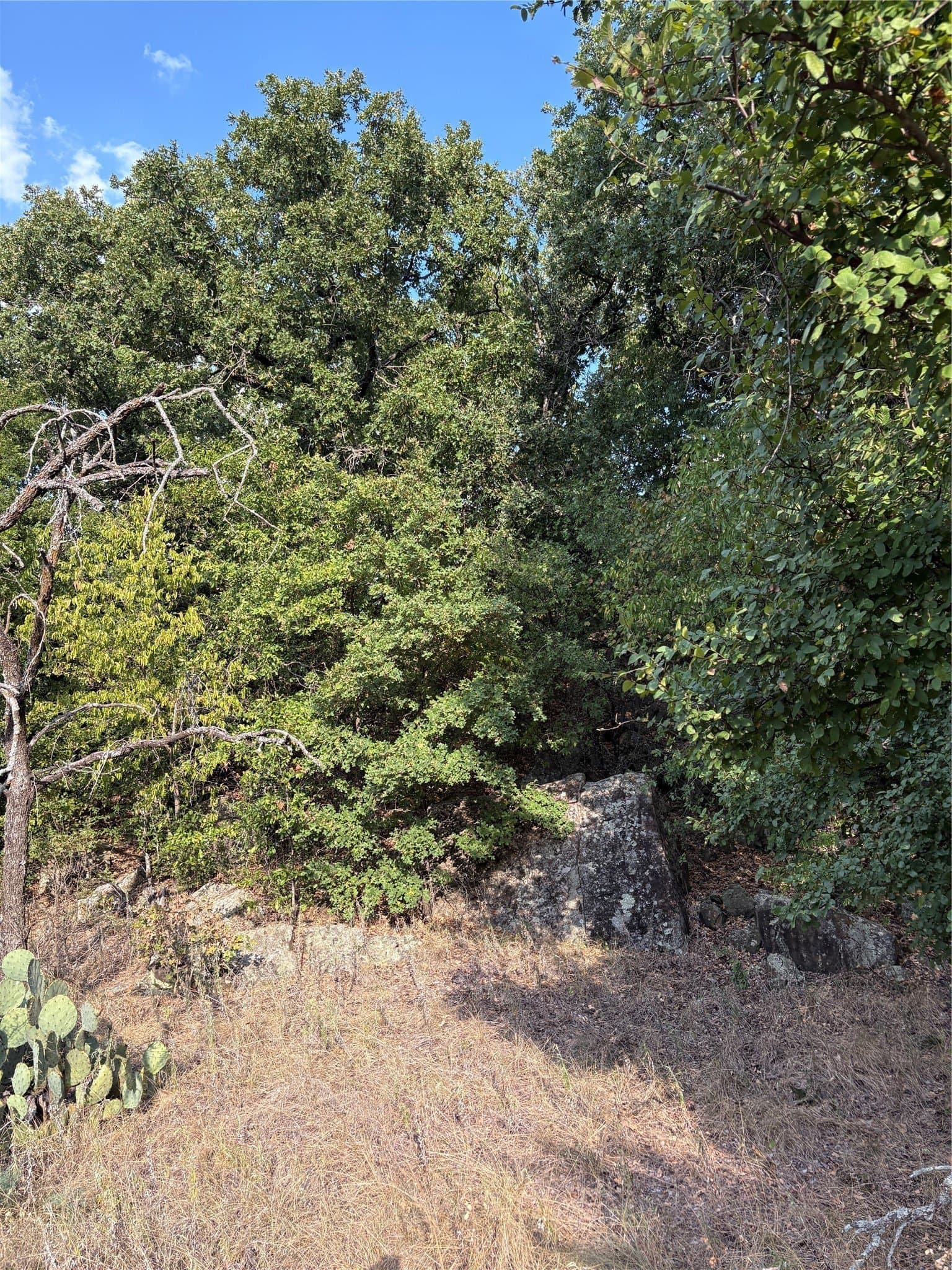 50 acres in Jack County - photo 26