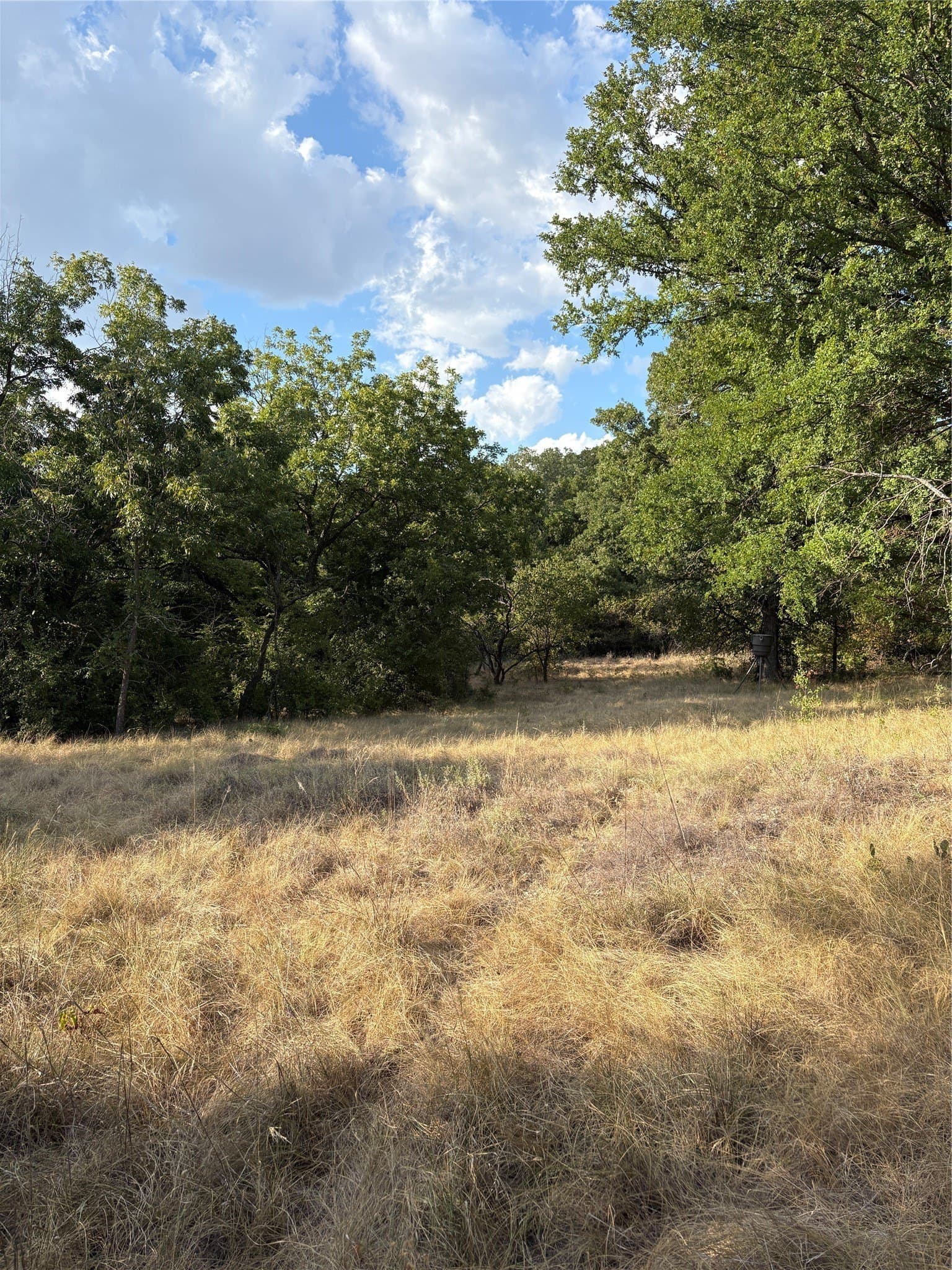50 acres in Jack County - photo 25