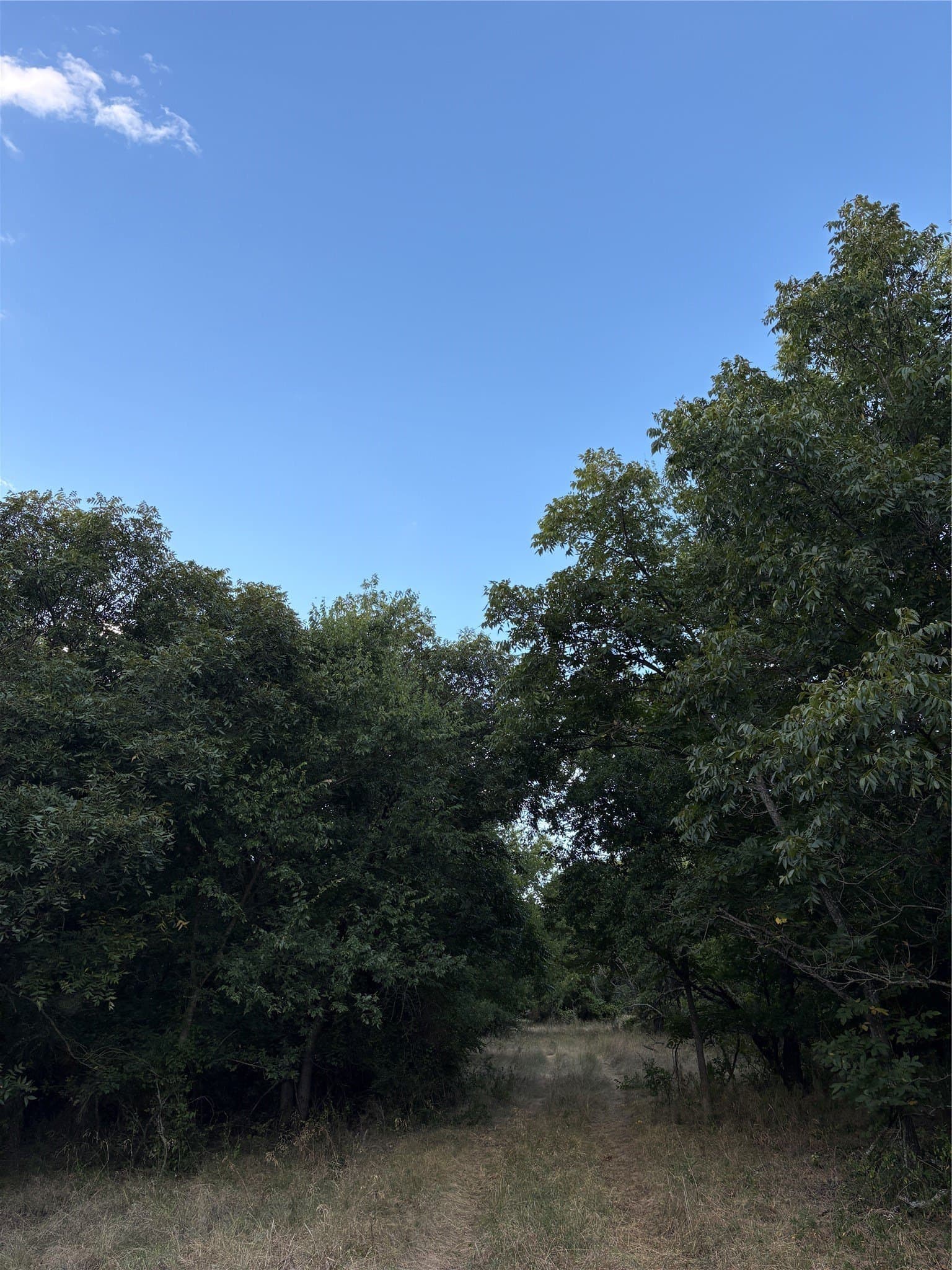 50 acres in Jack County - photo 19