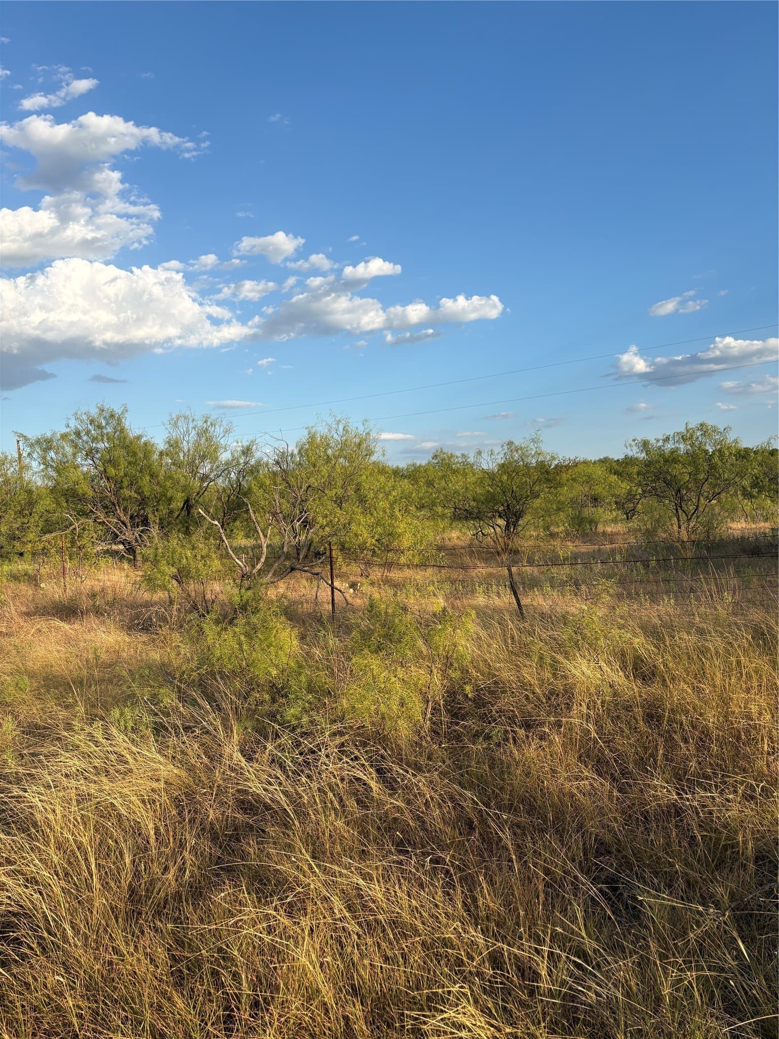 50 acres in Jack County - photo 5