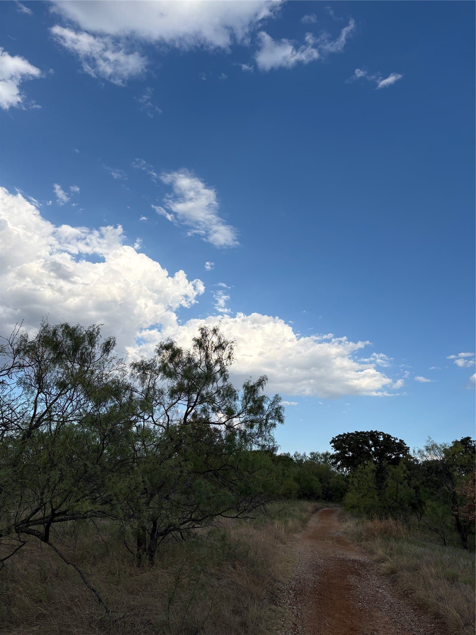 50 acres in Jack County - photo 12