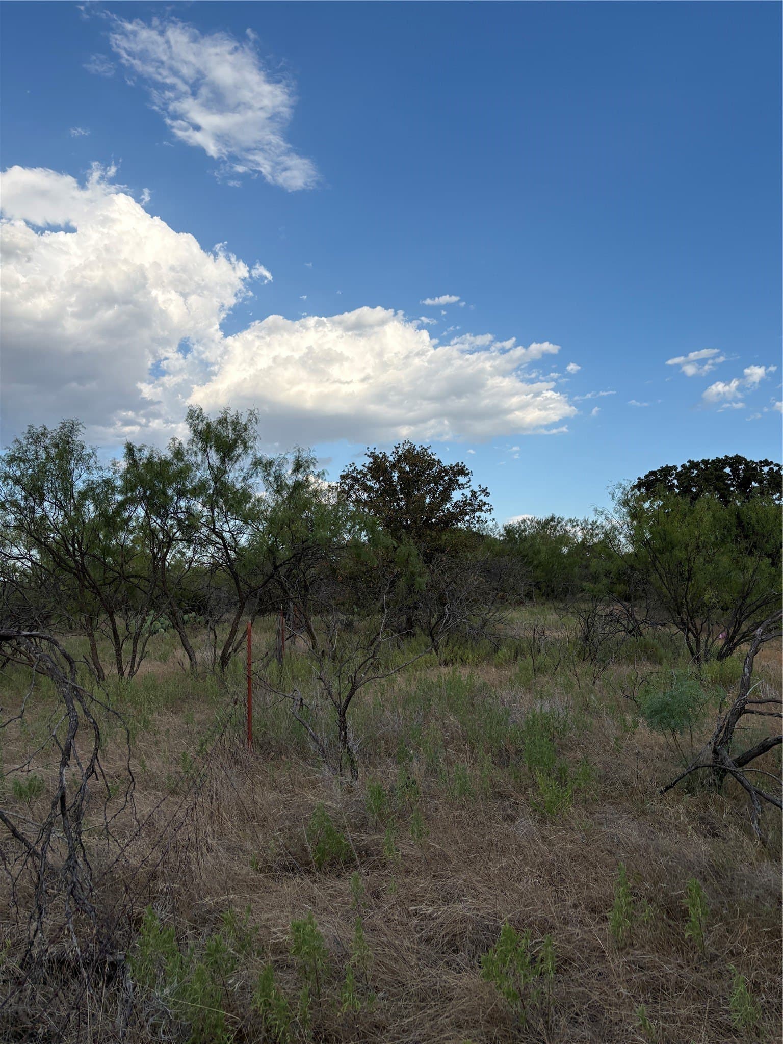 50 acres in Jack County - photo 17