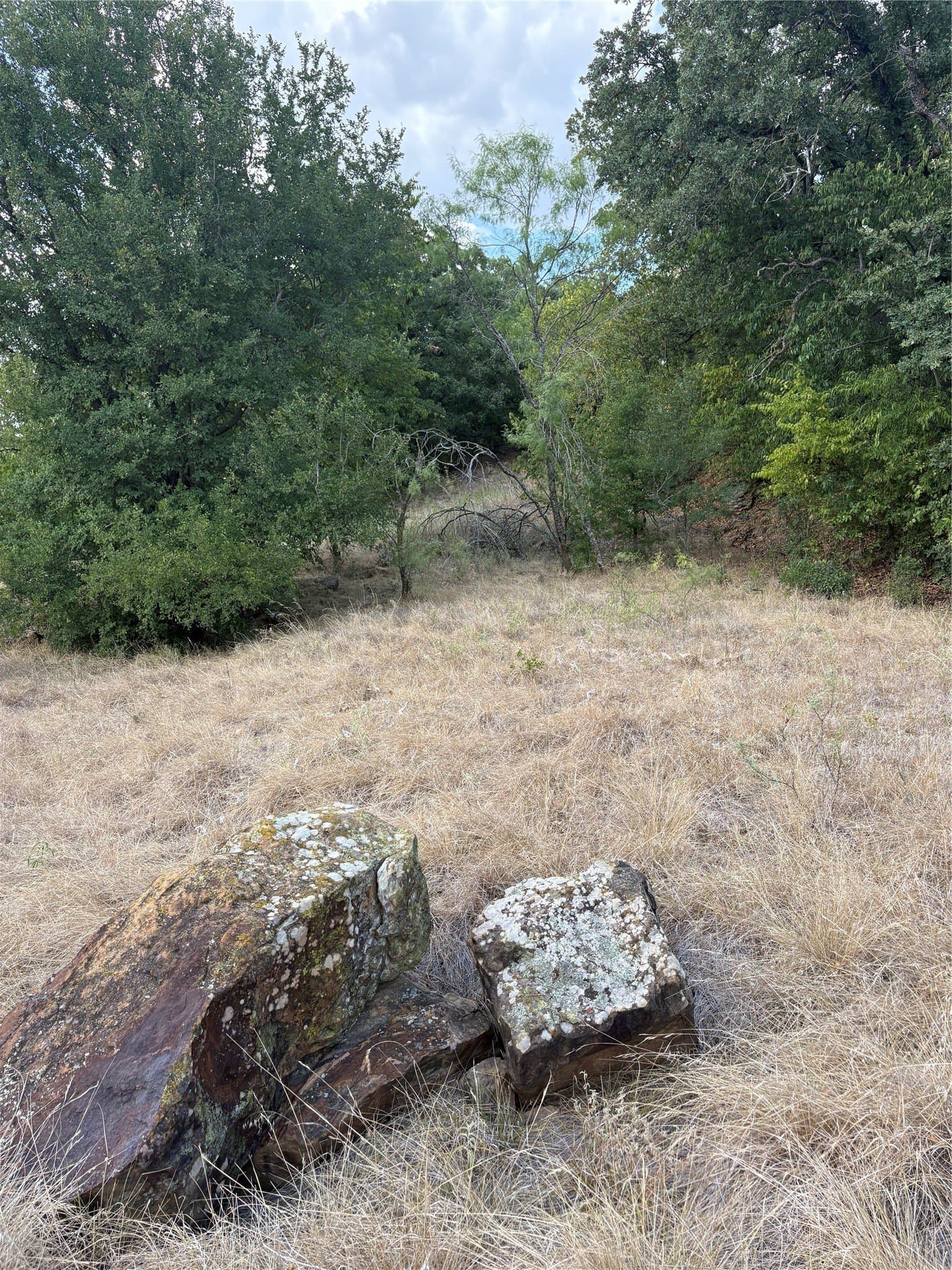 50 acres in Jack County - photo 38
